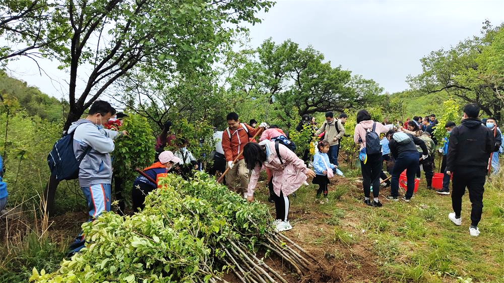 image3.png image3.png